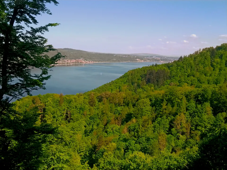 Blick über den Wald auf den Bodensee